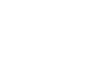 Elephant Journal