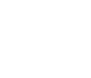 #1 Best Seller on Amazon